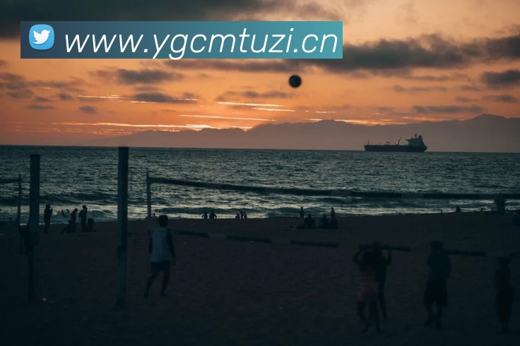 多媒体互动体验