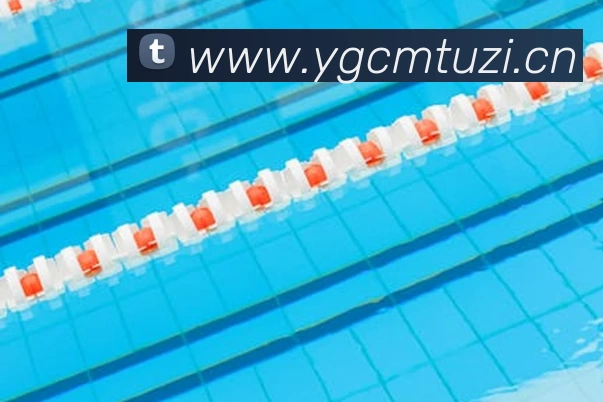 九游网页版APP 高清赛事图